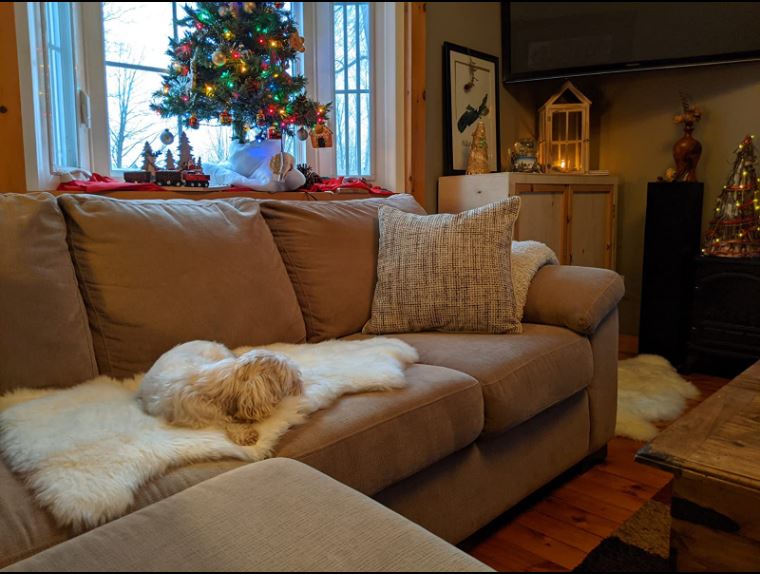 Discover the unique beauty of Icelandic Sheepskin Rugs from Canada. Soft, luxurious and perfect for any home, these rugs are handcrafted using 100% Icelandic sheepskins.