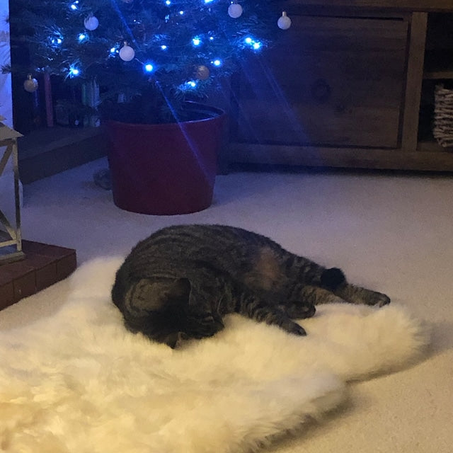 Why choose an Icelandic Sheepskin Rug