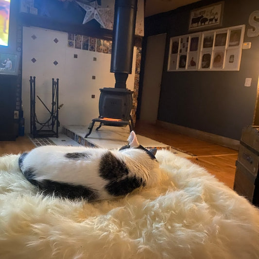 Discover luxurious sheepskin rugs for sale - add warmth and elegance to your home decor. Great for premium quality and cozy comfort.