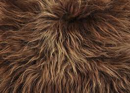 Icelandic Chestnut Brisa Sheepskin Fur Area Rug