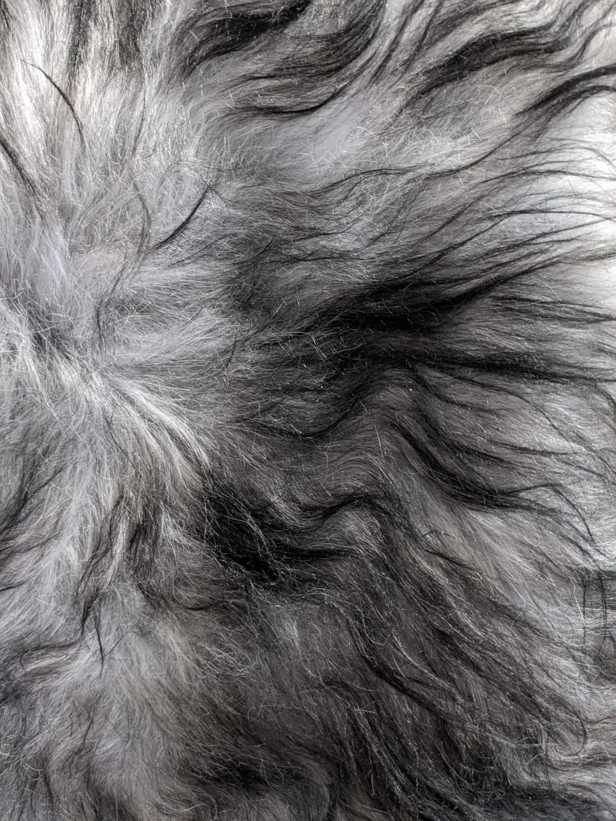 Silver Darktop Sheepskin Rug